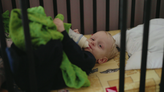 Timukas, Išsipildymo akcija