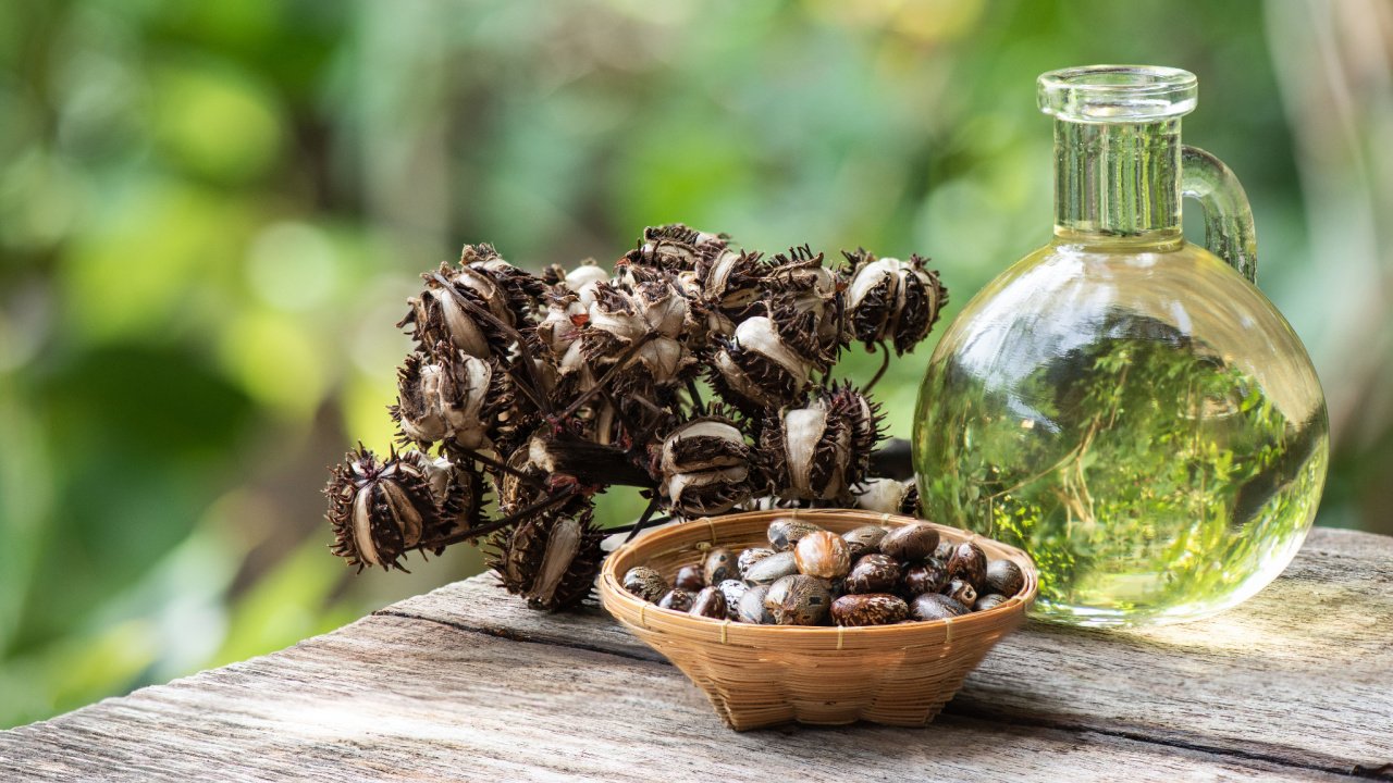 Kaukės plaukams su ricinos aliejumi: 3 paprasti receptai