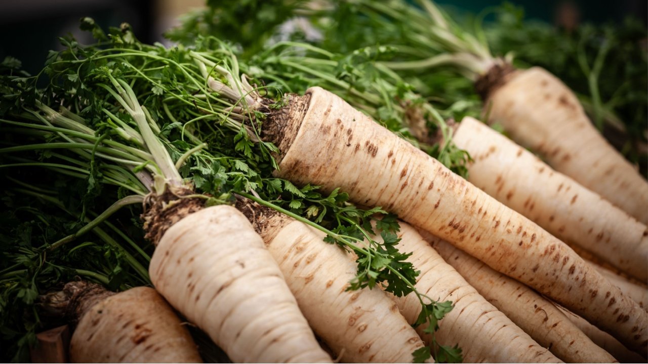 Kuo naudingi pastarnokai?