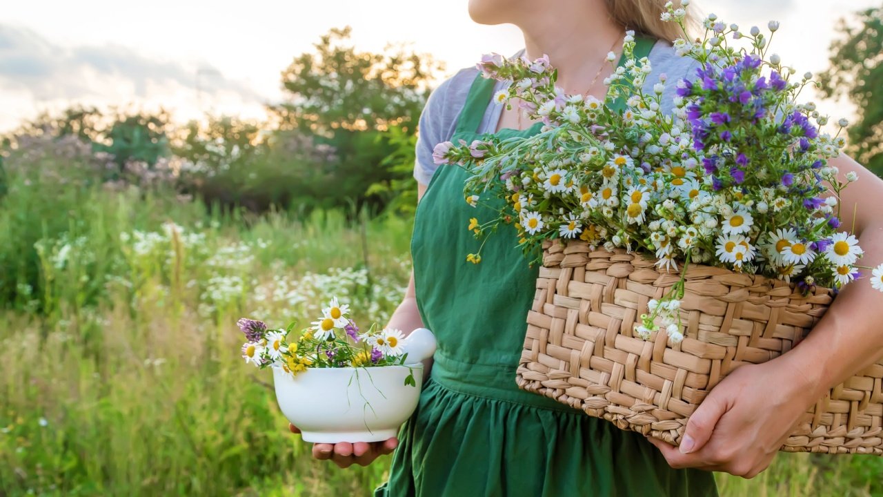 6 moterims naudingiausios vaistažolės
