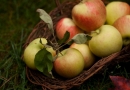 Rudens superproduktai jūsų grožiui ir sveikatai