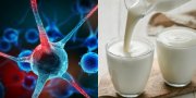 Įsidėmėkite: šie 4 maisto produktai padės išvengti vėžio