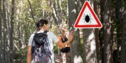 Klastingos erkės: būdai, kaip apsaugoti save ir artimuosius nuo erkinio encefalito