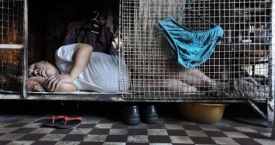 Honkongo skurdas: 200 dolerių už gyvenimą narve