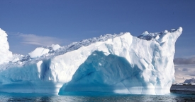 Naujos rūšys grasina Antarktidos pakrantei