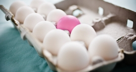 Ką žinome apie kiaušinius? 