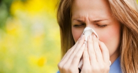 Alergija tuopų pūkams: kaip išsigelbėti?