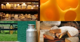 Įdomūs faktai apie sūrį