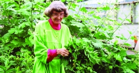 Lietuvoje bus pagerbta natūralaus gydymo pionierė lietuvė Anna Wigmore