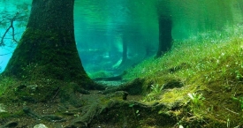 Pasakiškas Žaliojo ežero pasaulis