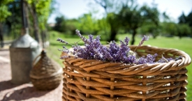 Eteriniai aliejai - aromaterapijai, grožiui ir sveikatai