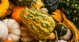 10 pamirštamų superproduktų
