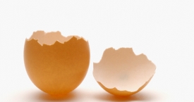 Įdomu ir naudinga: kiaušinių lukštų milteliai