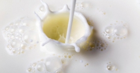 Pienas: svarbiausi klausimai ir atsakymai