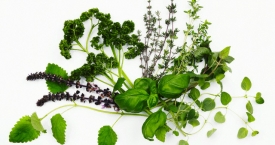 3 vaistiniai augalai, kurių verta turėti savo namuose