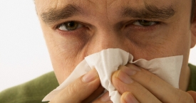Apie alergiją dulkių erkutėms