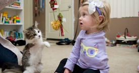 Rankos netekusi mergaitė susidraugavo su trikoju kačiuku (foto)