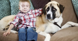 Trikojis šuo padėjo neįgaliam berniukui pamilti pasaulį (foto)