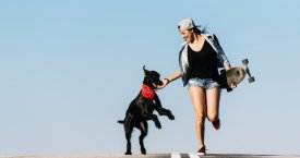 Kaip šunys padeda sportuojantiems šeimininkams (video)