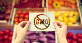Kaip išvengti GMO?