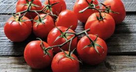 Stebuklinga pomidorų nauda sveikatai: apsaugo net nuo vėžio