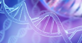 DNR diena: ar genai gali perspėti kaip sunkiai sirgsite koronavirusu?