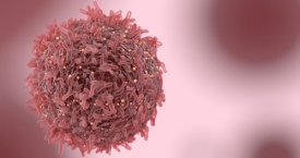 Žmogaus papilomos viruso infekcija: vėžį sukelia ne tik moterims, bet ir vyrams