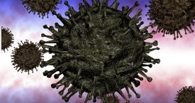 9 būdai, kaip sustiprinti imuninę sistemą prieš rudenį