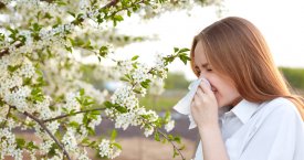 Patarė, kaip ištverti sezoninės alergijos sezoną: įsidėmėkite