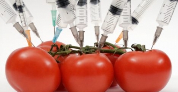 GMO: legalūs mutantai