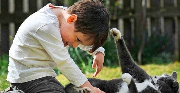 Neįtikėtina mažojo autisto ir katino draugystė