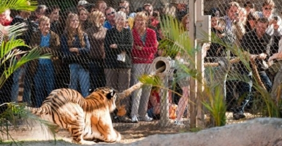 Išsiilgę ekstremalių pojūčių gali išbandyti savo jėgas zoologijos sode