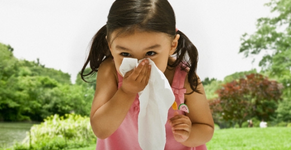 Alergologės konsultacija. Kaip nustatyti alergijos priežastis?
