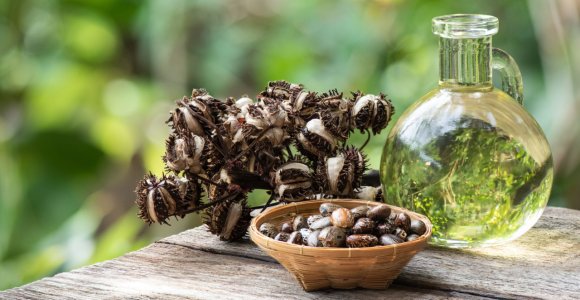 Kaukės plaukams su ricinos aliejumi: 3 paprasti receptai