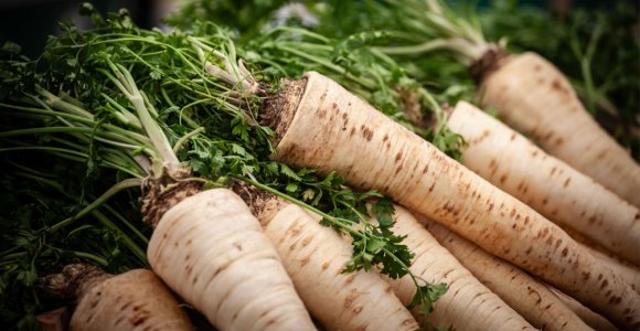 Kuo naudingi pastarnokai?