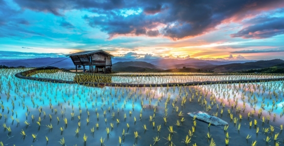 Vaizdingos ryžių terasos Vietname (foto)