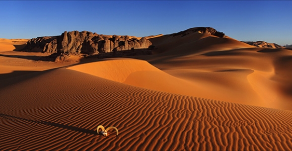 Didžiausios pasaulyje dykumos panoramos (foto)