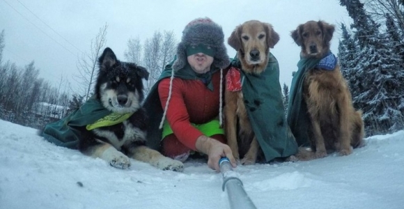 Stomatologo iš Aliaskos šunys užkariavo internetą (foto)
