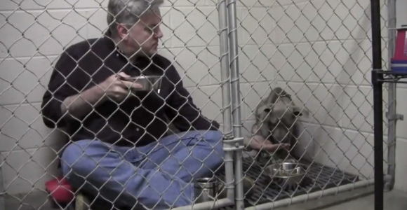 Kad padėtų išsigandusiam keturkojui, veterinaras nusprendė papusryčiauti kartu (video)