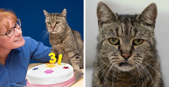 Seniausias pasaulyje katinas atšventė dar vieną gimtadienį (foto)