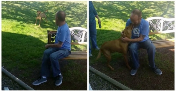 Iš ligoninės grįžusį šeimininką šuo atpažino tik iš kvapo (video)