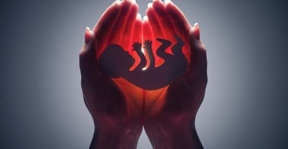 Amerikiečių rašytojas apie tai, kodėl negalima drausti abortų