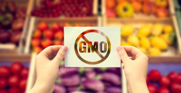 Kaip išvengti GMO?
