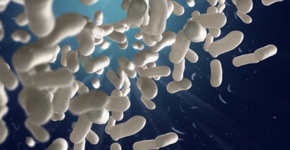 Gerosios bakterijos: kodėl jos tokios svarbios mūsų organizmui?