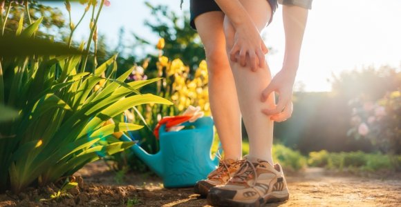 Atšilus orams atgyja ir uodai: štai, kaip apsisaugoti