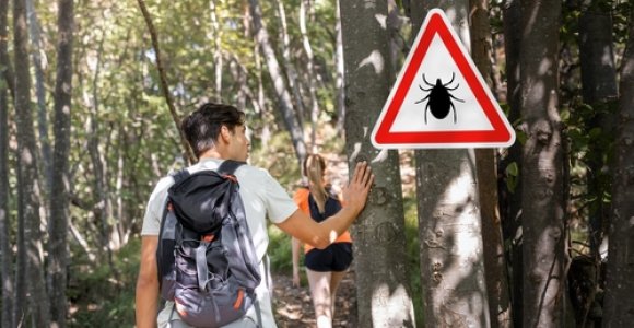 Klastingos erkės: būdai, kaip apsaugoti save ir artimuosius nuo erkinio encefalito