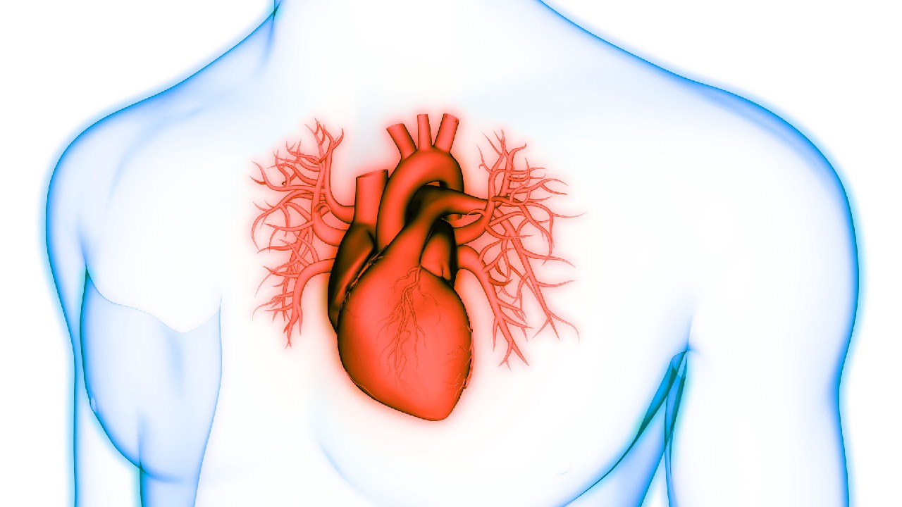 Krūtinės angina – skausmas krūtinėje dėl širdies raumens nepakankamo aprūpinimo krauju.