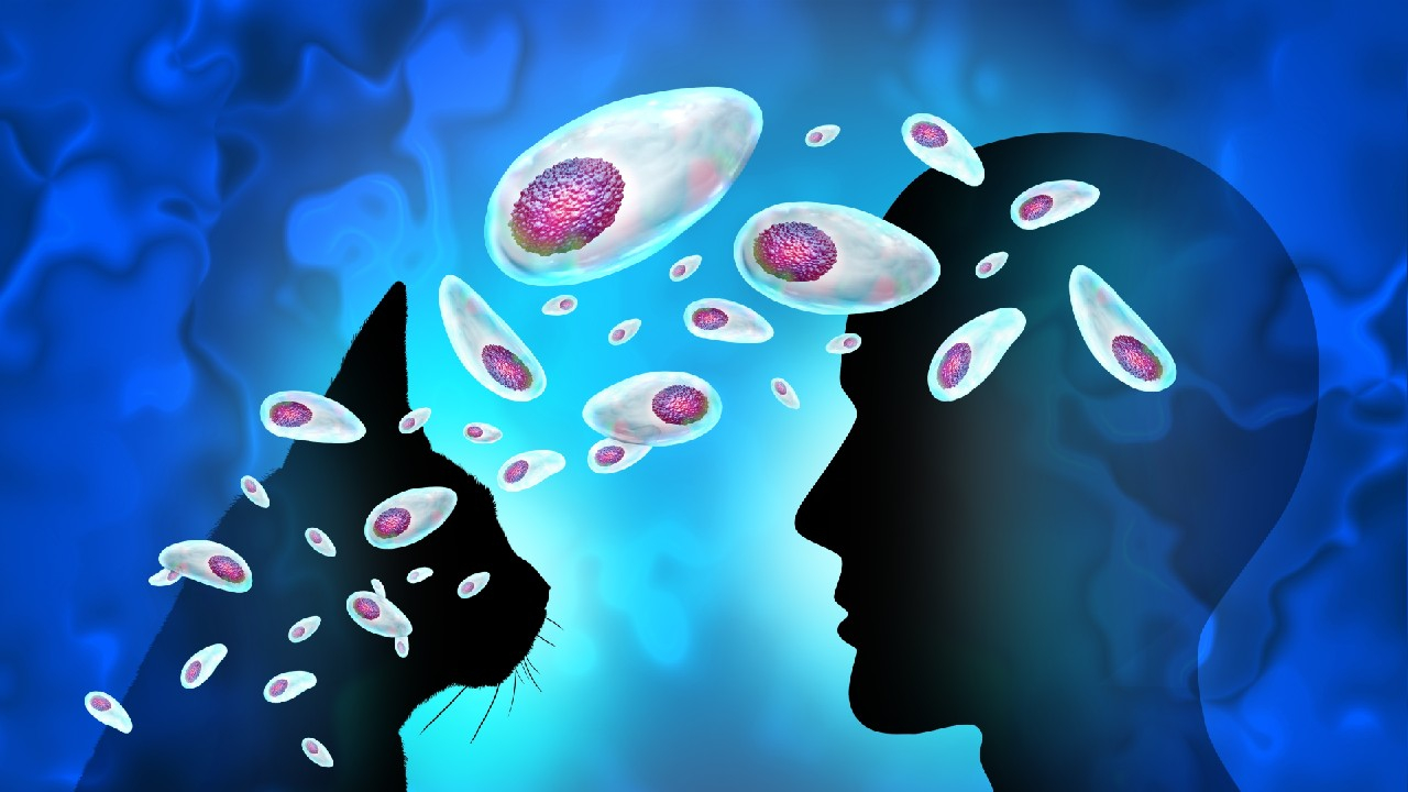 Toksoplazmozė – tai parazitinė liga, kurią sukelia Toxoplasma gondii, plintanti per užkrėstą maistą, gyvūnus ar užterštą aplinką.