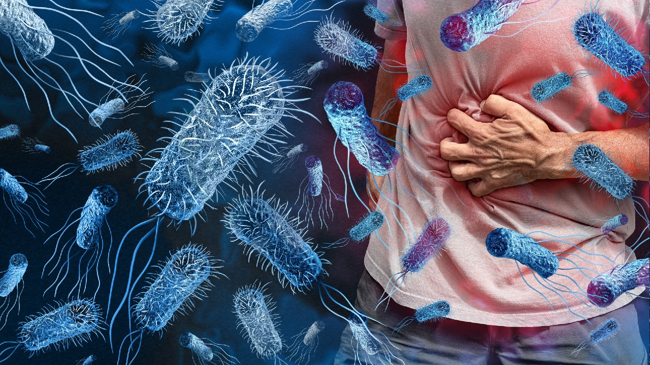 Salmoneliozė – tai ūmi bakterinė infekcija, kurią sukelia Salmonella genties bakterijos, dažniausiai pažeidžiančios virškinimo traktą.