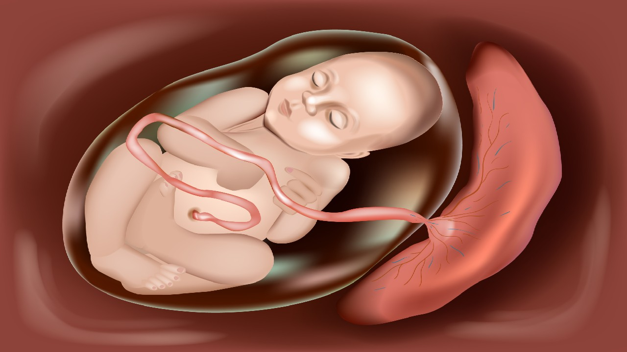 Placentos pirmeiga – tai nėštumo komplikacija, kai placenta dengia gimdos kaklelį, sukeldama kraujavimo riziką ir reikalaujanti medikų priežiūros.